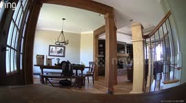 Security Camera Catches Trip and Fall on Staircase