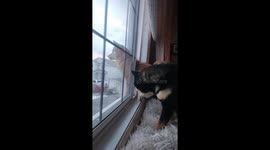 Window Watchers