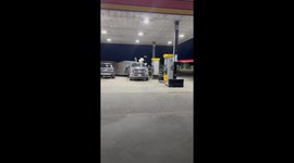 Gas Station Guard Dogs