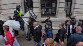 The moment a horse is allegedly attacked with an umbrella by a 'patriot' during St George's Day celebration in London