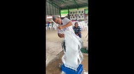 Pensioner makes awesome cockatoo ice sculpture for wedding