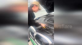 Squeaking noise on motorway turn out to be kittens