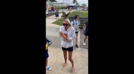 Terrified woman screams as bird perches on her head in attempt to steal snack