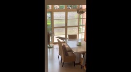 Monitor lizard intruder gets stuck in family's home