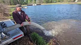 USA: U.S. Fish and Wildlife Service fish hatchery personnel stock fish at Fort McCoy