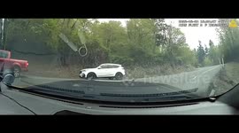 USA: Police Arrests A Driver Accused of Intentionally Trying to Hit People with Car