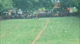 Final of the Cow Race in Probolinggo