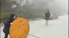 Tabletop tumble: family move turns veggie adventure