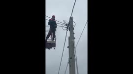 Rescuers save raccoon trapped on pole near Novorossiysk, Russia