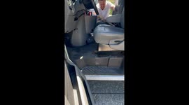 Monitor Lizard Stow Away Found in Vehicle