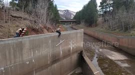 Baby mountain lions rescued in Colorado