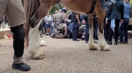 US: Dozens Arrested At Pro-Palestinian Protest At UT Austin 4