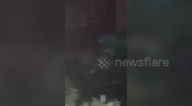 Vet saves leopard's life in daring rescue operation in southern India