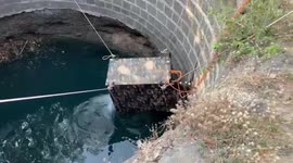Indian forest department saves leopard trapped in well