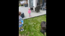 Little girl's tears reveal a profound empathy for a tiny ladybug's perceived plight