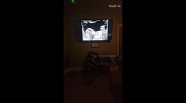 Family erupts in joy as ultrasound reveals another little brother on the way