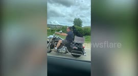 Dog loves riding on owner's Harley-Davidson - and has own seat and goggles