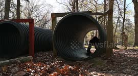 USA: Obstacle course at USARC CIOR Competitive Camp