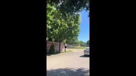 McDonald's sign engulfed in flames: Dallas, Texas