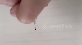 Artist uses leaky ballpoint pen to make fascinating pictures