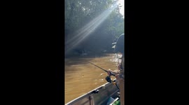 Family's barramundi dream turns into a close encounter with a crocodile