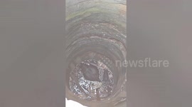 A Cow falls into deep well in central India, hard afford rescued