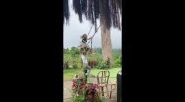 Giant swing thrills: heart-pounding pushes in Kablon, Philippines