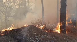 Massive fire in the forests of Nainital- Lake filled with water- Air Force helicopter is being taken. Boating banned in Nainital till 2 pm, tourists disappointed
