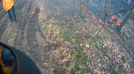 Brush wildland fire, Coal Township,. Pennsylvania