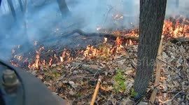 :Brush wildland fire, Coal Township,. Pennsylvania