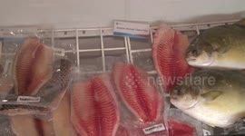 Chinese firms eager to showcase new products at Spain seafood fair