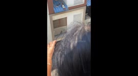 Community Heroes Save Baby from Falling off Terrace Window in Chennai