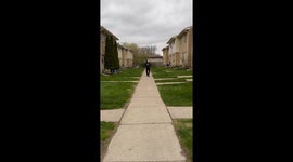Dramatic Husky Isn't Ready for Walk to End