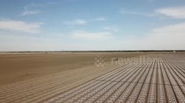 Modern tech assists cotton farmers in China's Xinjiang