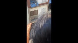 Residents risk lives to rescue baby dangling from apartment roof in southern India