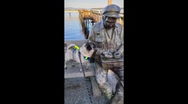 Curious pup examines statue: 'something's amiss?