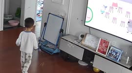 Child's play: toy mishap turns TV screen black in Shandong home video