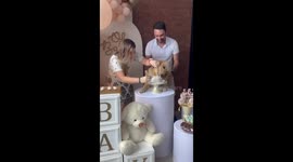 Dog reveals baby's gender by eating cake at gender reveal party in Brazil