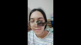 Sparrow sits inside woman's glasses