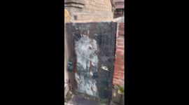 Tabby cat sits on top of concrete wall like Chinese lion statue