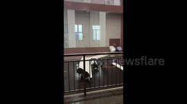 Woman knocked down by rampaging shutter door amid southern China storm chaos