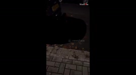 Unexpected footsteps: Fox's playful commotion interrupts a girl's quiet walk