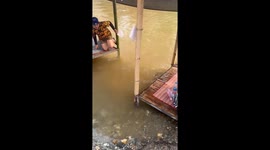 Deadly cobra sparks panic on tourist river raft attraction
