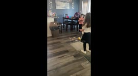 Mischievous boy can't resist the urge to crack a few eggs on the floor