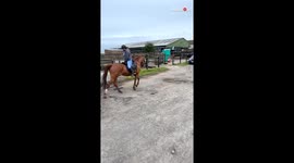 Girl's backwards ride fails to reveal a horse perfect for all riding styles