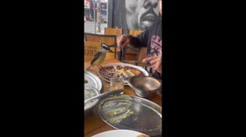 Unexpected guest: bird crashes lunch in Rio de Janeiro, Brazil