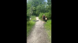 Naples, Florida family hikes past 7-foot alligator: a close encounter