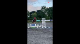 Over-achieving horse forgets that he hasn't unlocked the ability to fly