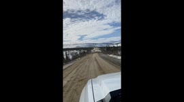 Caribou Herd Charges Vehicle