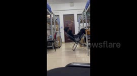 China: Chair Falls Over During Song, Leading to a Tumble